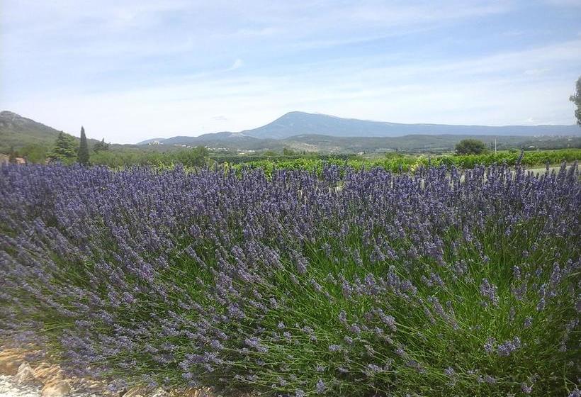 ベッドアンドブレックファースト La Dentellière