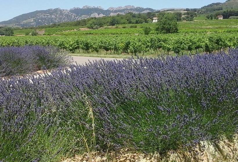 ベッドアンドブレックファースト La Dentellière