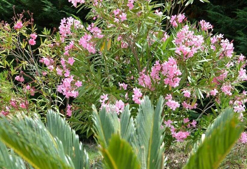 צימר La Devinière