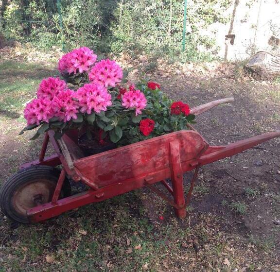 ベッドアンドブレックファースト La Forge