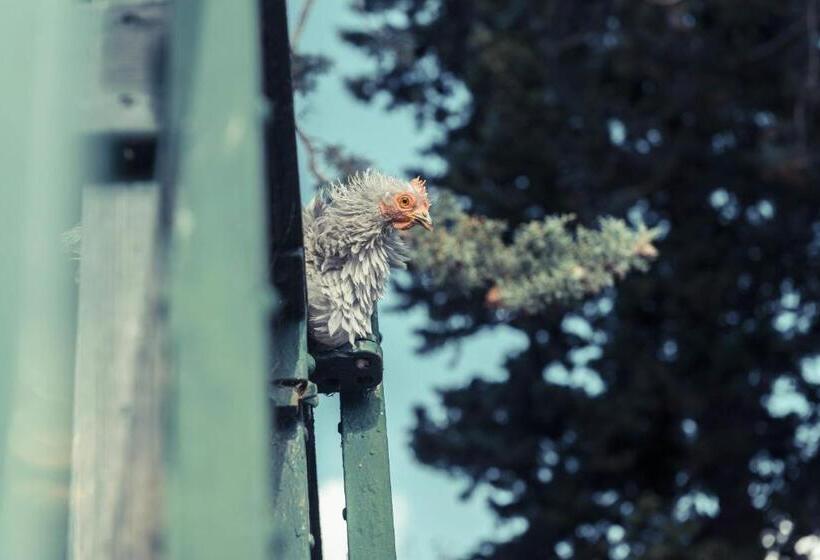 ベッドアンドブレックファースト La Gare De Millas Chambres D'hôtes