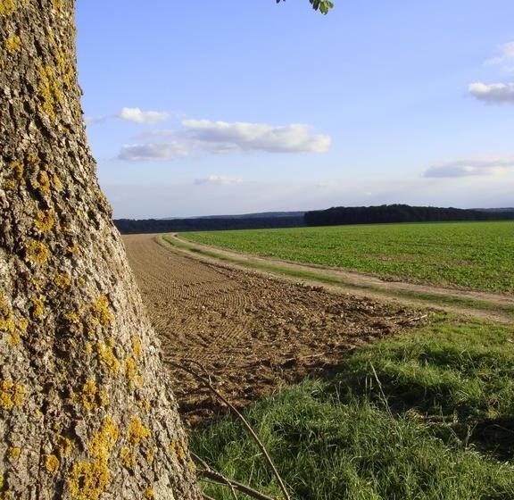Bed and Breakfast La Grange De Boulaines