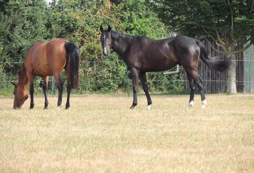 Bed and Breakfast La Jarillais