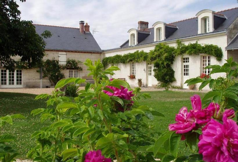 Bed and Breakfast La Jarillais