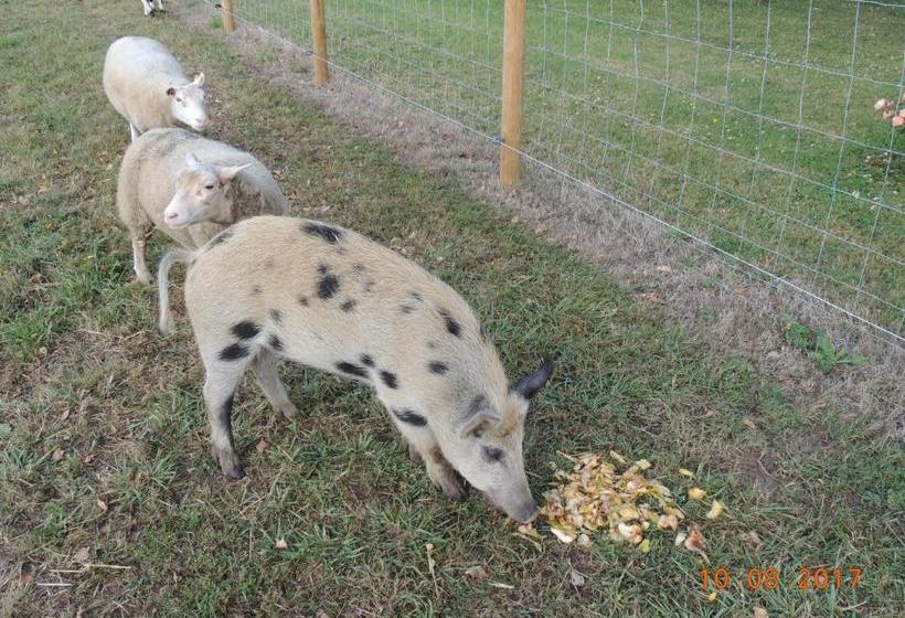 Bed and Breakfast La Jarillais