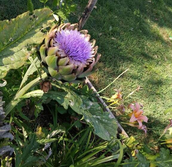 Bed and Breakfast La Nesquière Chambres D Hôtes