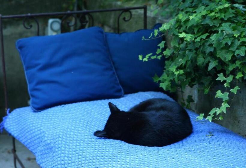 Bed and Breakfast La Nesquière Chambres D Hôtes