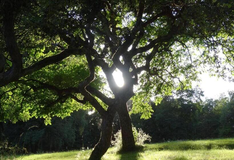 ベッドアンドブレックファースト Le Beauvais, Son Gîte, Ses Chambres En Bourgogne