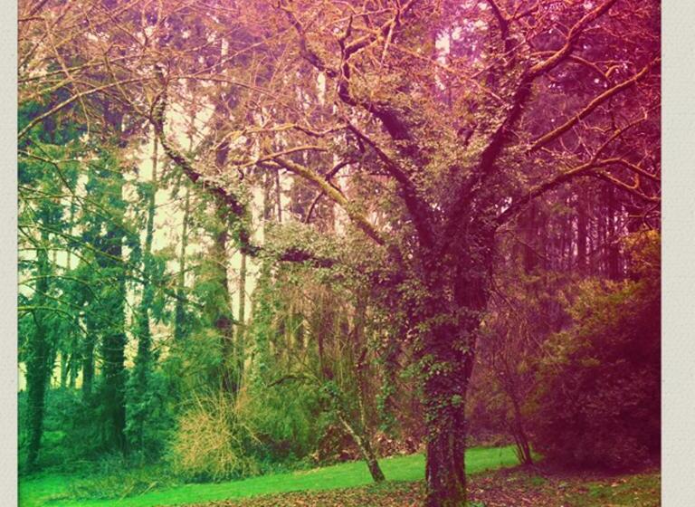 ベッドアンドブレックファースト Le Beauvais, Son Gîte, Ses Chambres En Bourgogne