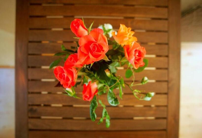 ベッドアンドブレックファースト Le Magasin à Sel