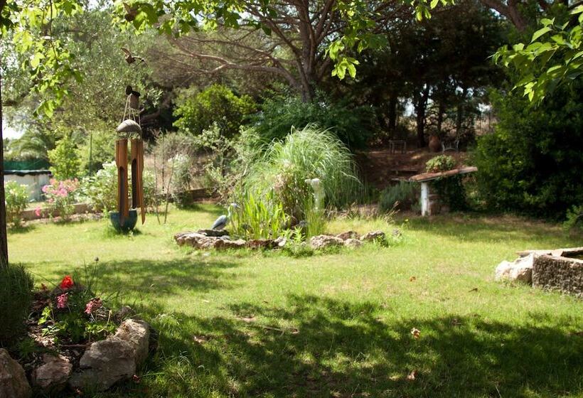 مبيت وإفطار Chambres D Hôtes Le Mas Du Bijou Bleu