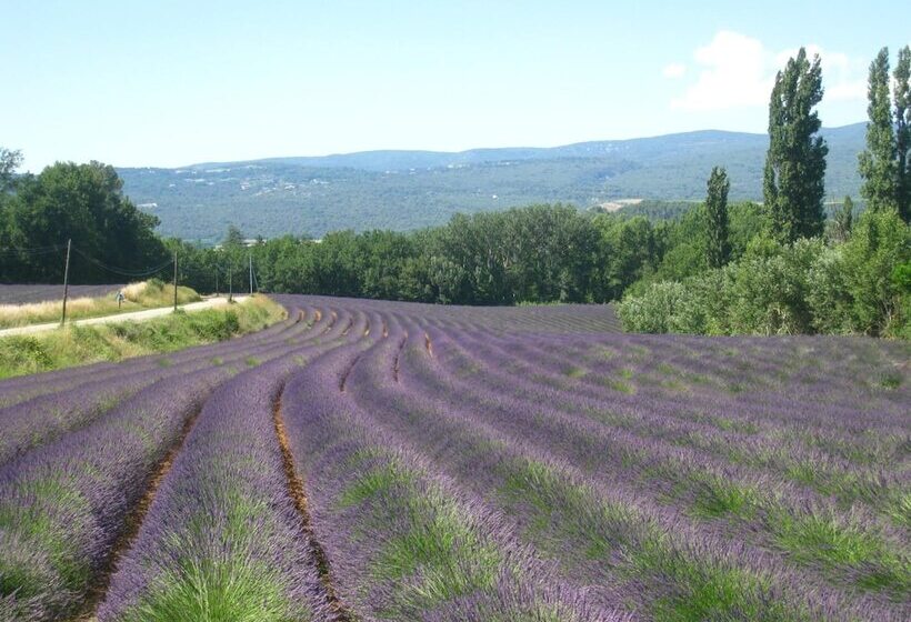 住宿加早餐  Le Refuge