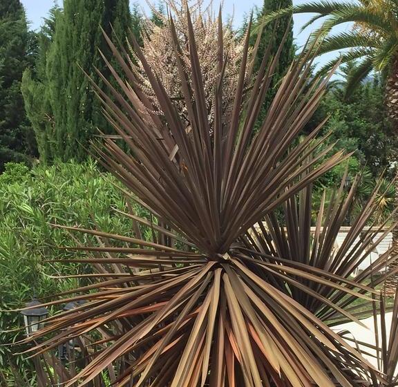 Bed and Breakfast Le Verger De Sauvebonne