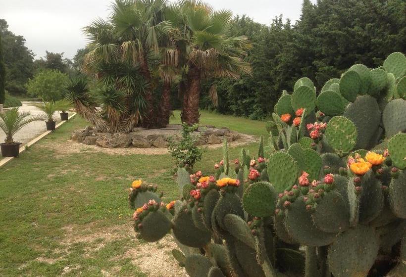 Bed and Breakfast Le Verger De Sauvebonne