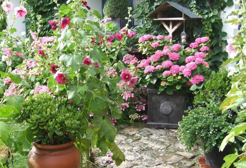 Bed and Breakfast Les Glycines