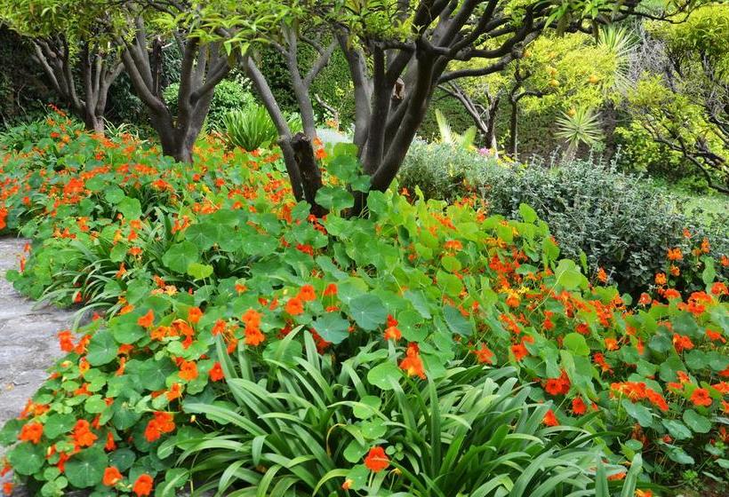 住宿加早餐 Les Orangers