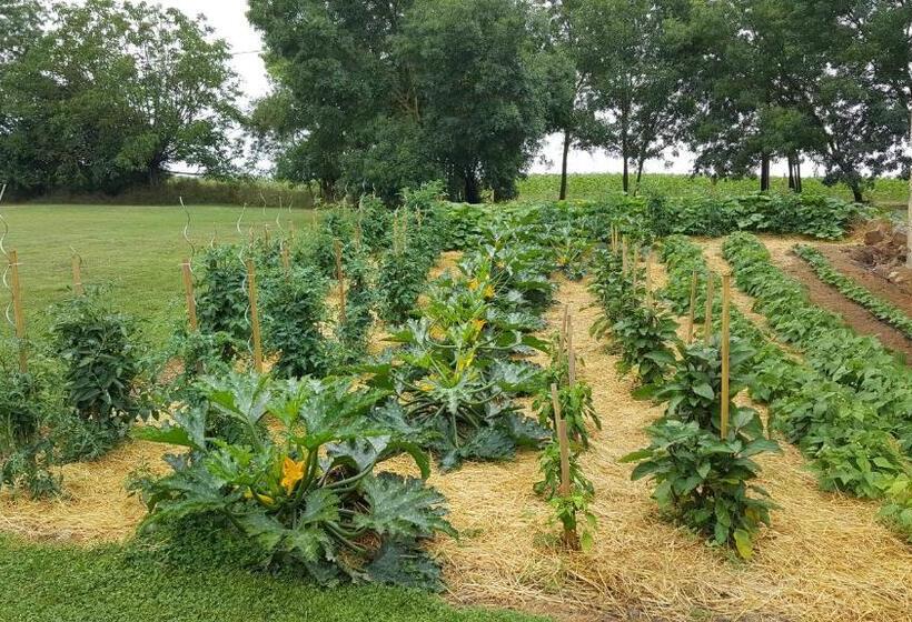 住宿加早餐  Maison D Hôtes De Charme Les Bruhasses