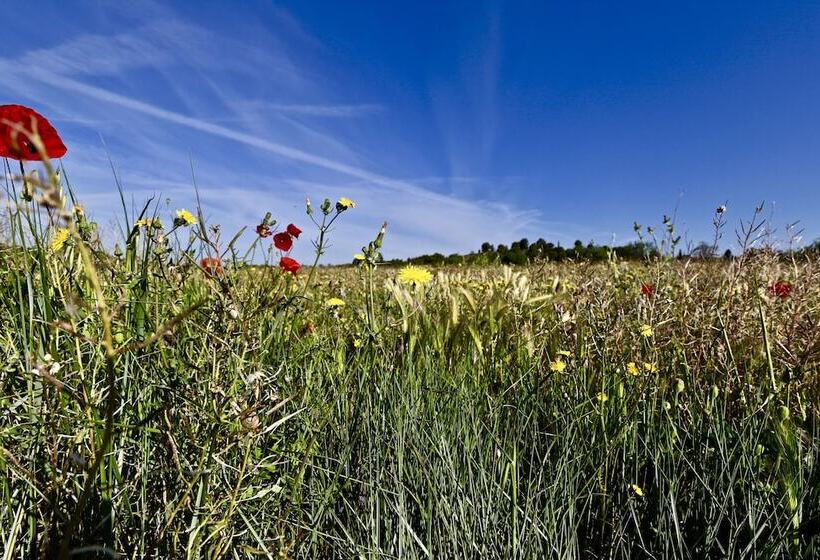 Bed and Breakfast Maison De Margot