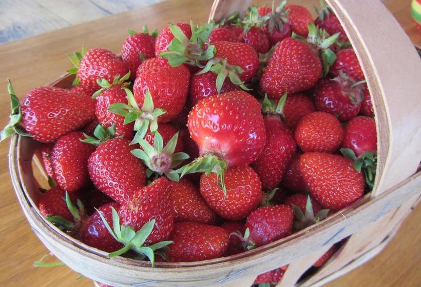 Bed and Breakfast La Maison De Marguerite