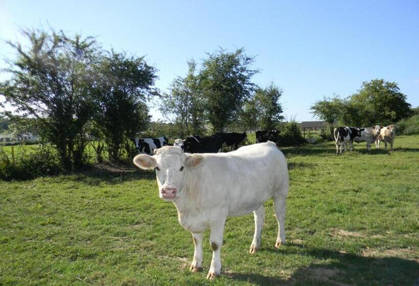 住宿加早餐  Maison Magdala