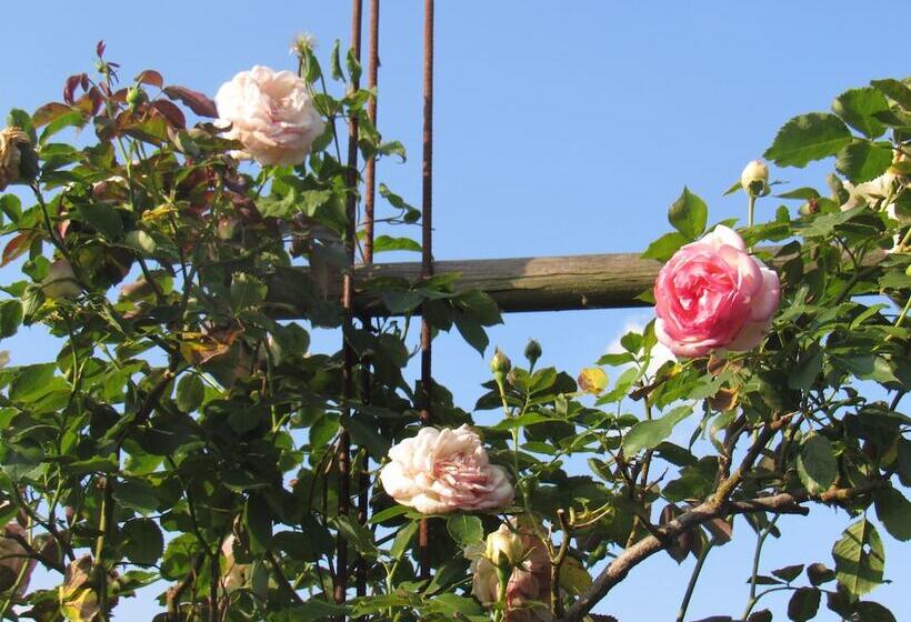 住宿加早餐  Maison Magdala