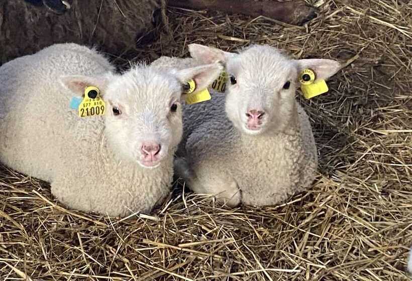 Bed and Breakfast Manoir De La Blonnerie