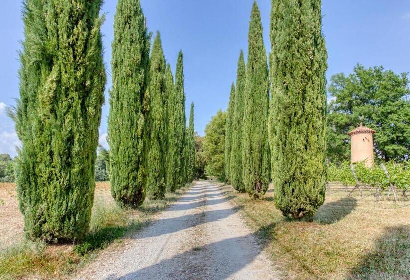 민박 Mas De Bacalan