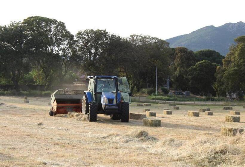 Bed and Breakfast & Restaurant Les Bergeries D'alata