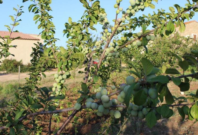 Bed and Breakfast & Restaurant Les Bergeries D'alata