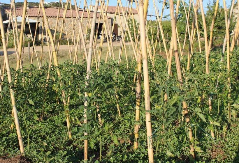 Bed and Breakfast & Restaurant Les Bergeries D'alata