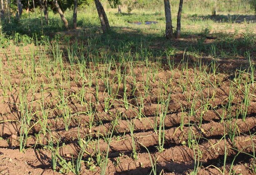 Bed and Breakfast & Restaurant Les Bergeries D'alata