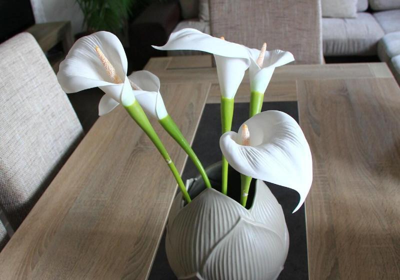 مبيت وإفطار Roissy Chambres