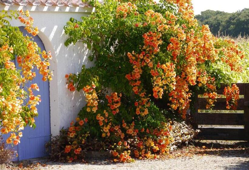 Bed and Breakfast Une Escale à Pornic Chambres D'hôtes 4 épis