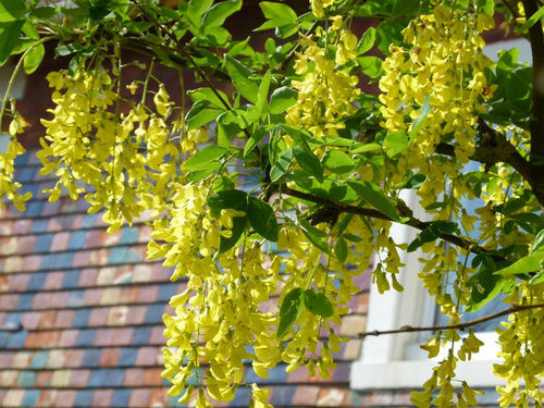 민박 Villa Du Bonheur, Chambres D Hôtes