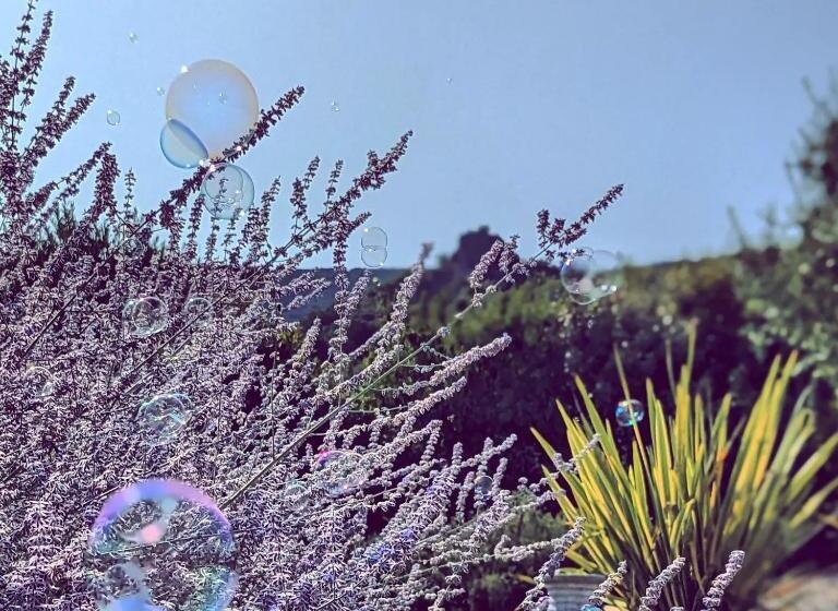 ベッドアンドブレックファースト Villa Font Vive   Chambres D Hôtes éco Labellisées Avec Cuisine   Confort, Calme Et Vue Exceptionnel