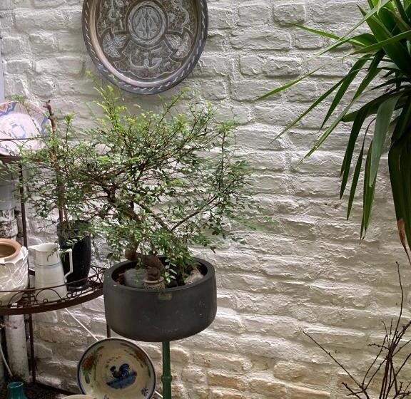 Camera Et Caetera Chambres D'hôtes B&b