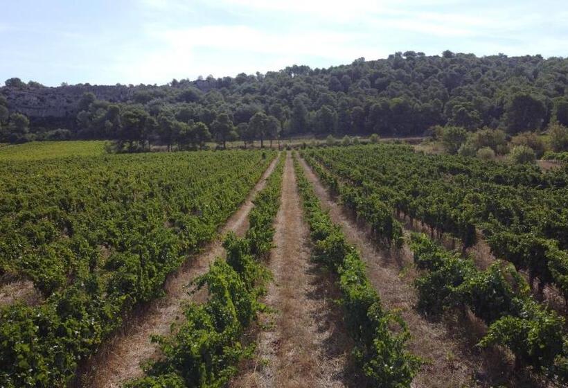 Château Catherine De Montgolfier B&b Et Gites