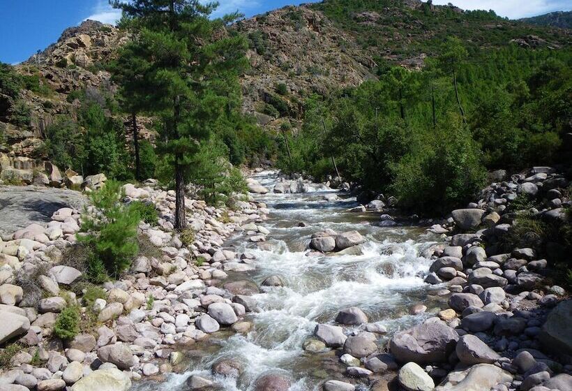 酒店 Auberge De La Foret Bonifatu