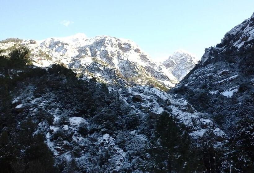 酒店 Auberge De La Foret Bonifatu