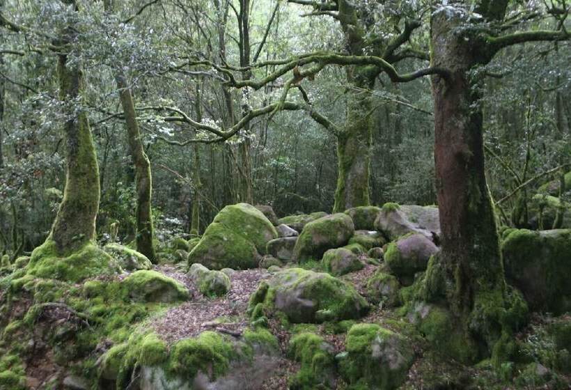 酒店 Auberge De La Foret Bonifatu
