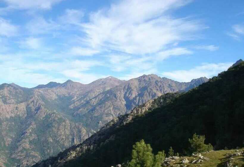 酒店 Auberge De La Foret Bonifatu