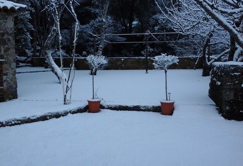 酒店 Auberge De La Foret Bonifatu