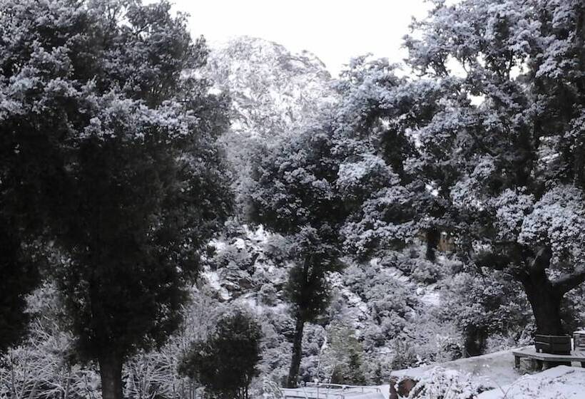 酒店 Auberge De La Foret Bonifatu