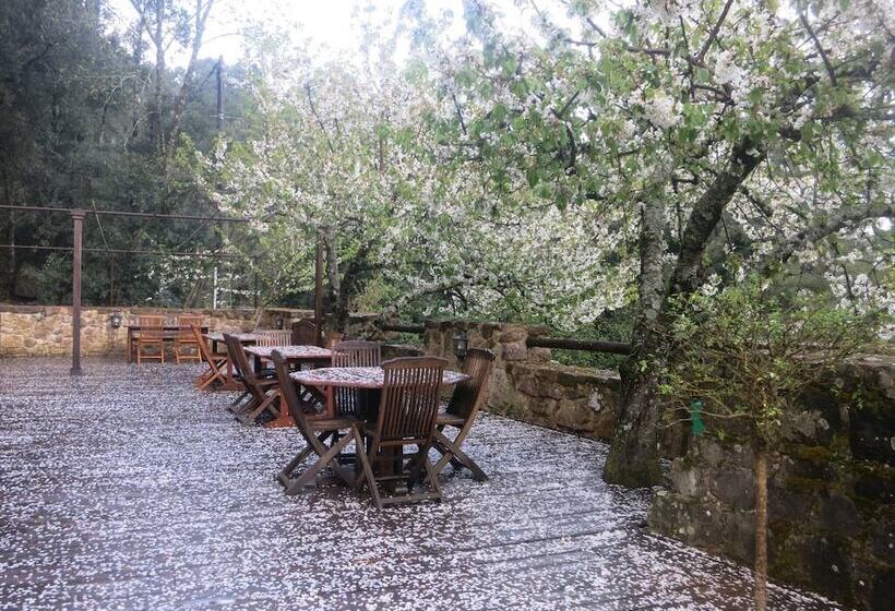 酒店 Auberge De La Foret Bonifatu