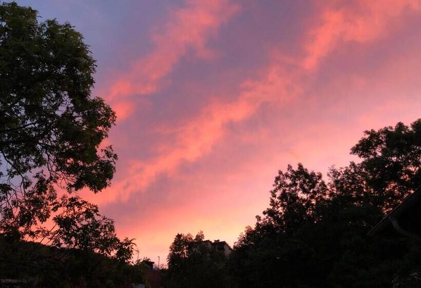 酒店 Auberge De Pra Loup