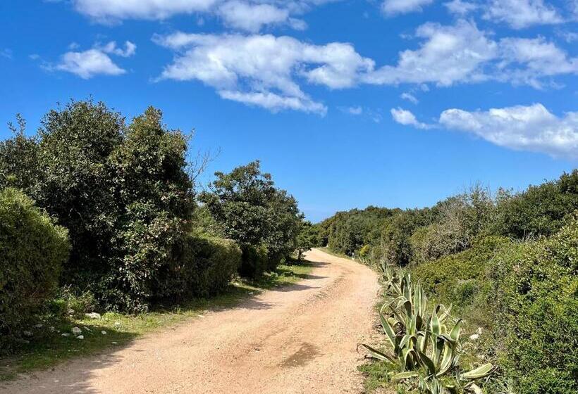 בית מלון כפרי Domaine De Licetto