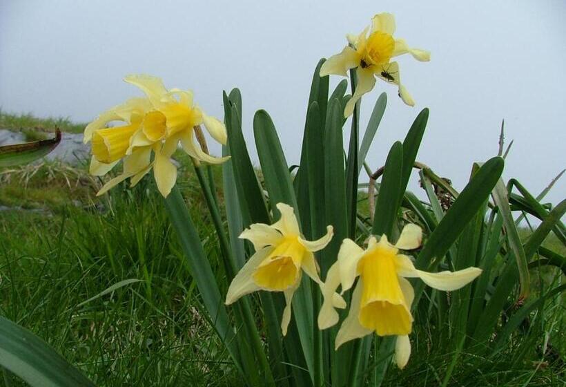 ホテル Hôtel Café Les Fleurs