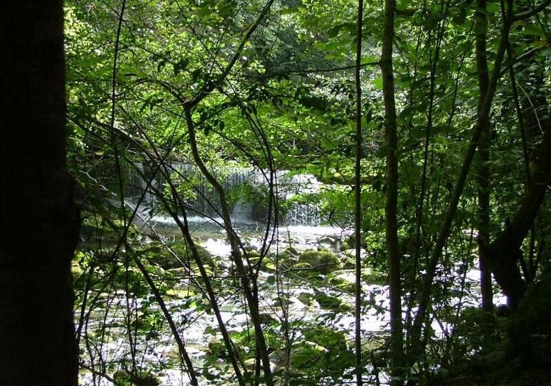 ホテル Hôtel Café Les Fleurs