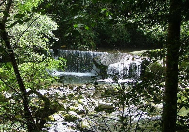 ホテル Hôtel Café Les Fleurs