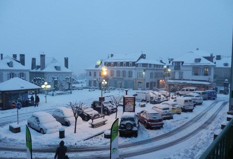 ホテル Hôtel Café Les Fleurs